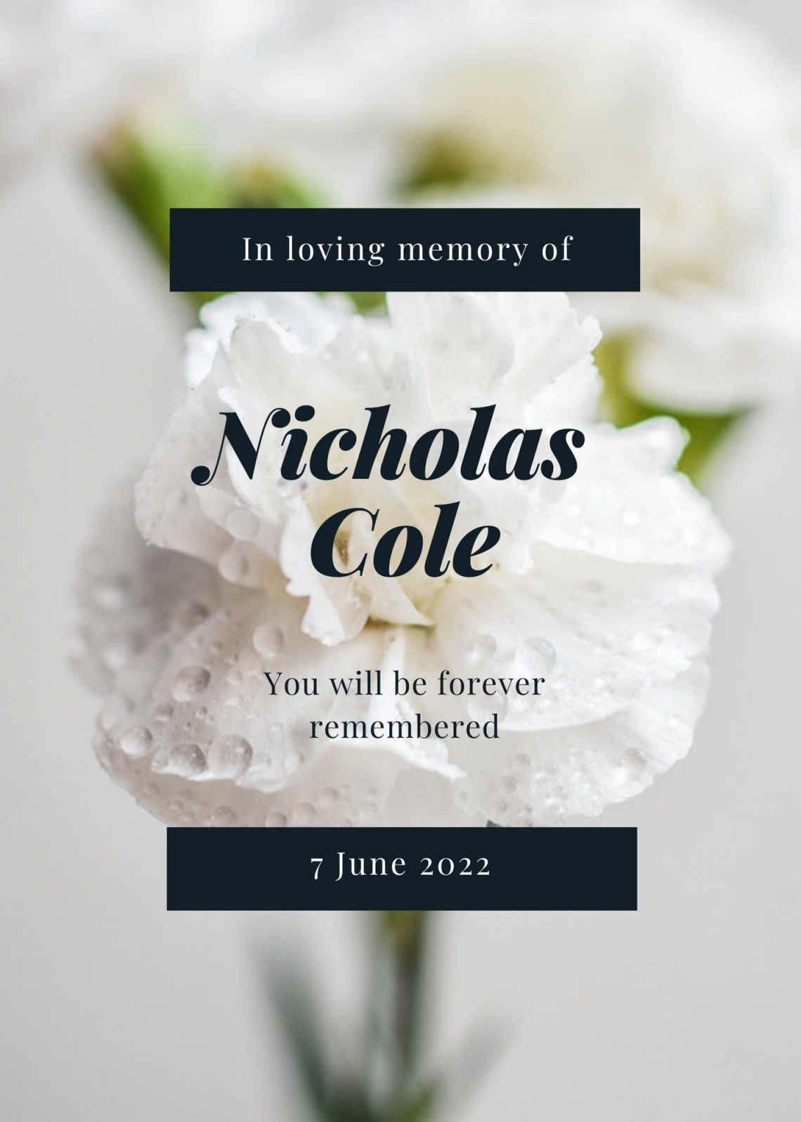 Vale Nick Cole